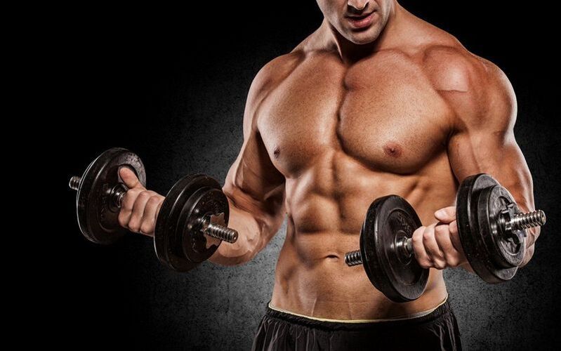 Exercices pour renforcer la force masculine