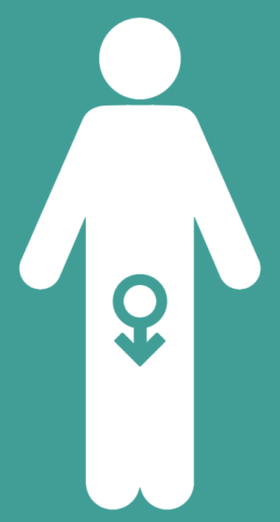 Des évanouissements masculins et une augmentation d'un membre