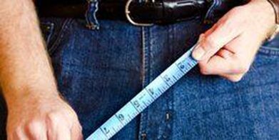 Dimensions de l'organe sexuel masculin