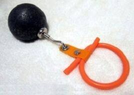 Poids du pénis